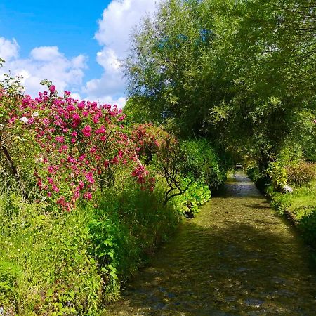 Aux Jolies Sources Bed and Breakfast Saint-Aubin-sur-Scie Exteriör bild