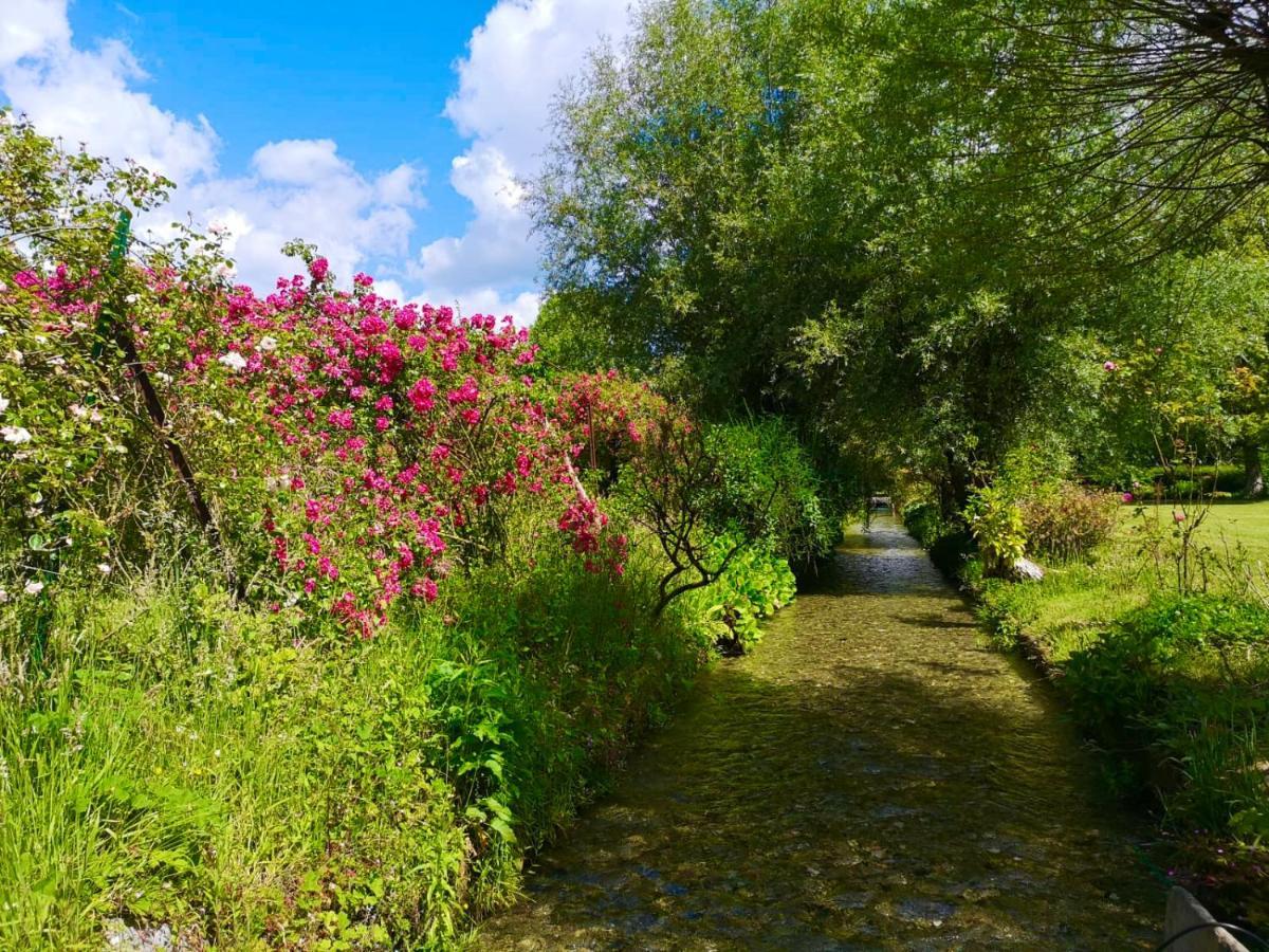 Aux Jolies Sources Bed and Breakfast Saint-Aubin-sur-Scie Exteriör bild